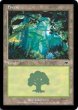 画像3: ※特価※【ONS】※FOIL※《森/Forest》【C】 (3)
