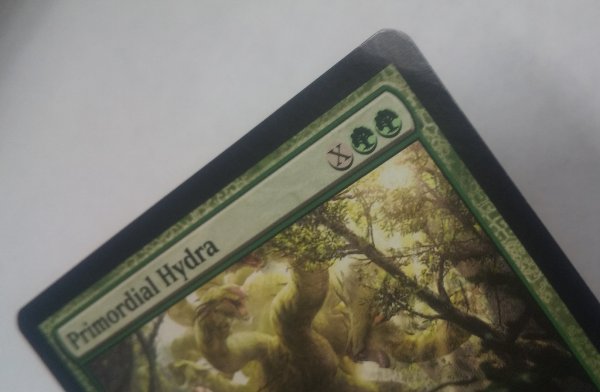 画像4:  ※傷あり SALE品※ 【M13】《始源のハイドラ/Primordial Hydra》【M】(#5022) (4)