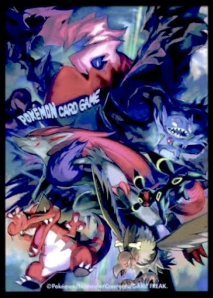 画像1:  【倉庫在庫】 ポケモンカード 限定 デッキシールド 「悪の軍団」(4枚・買取品) (1)