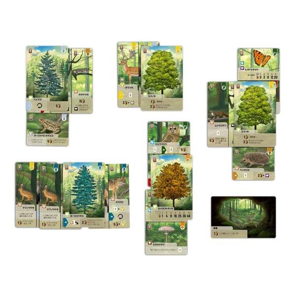 画像3:  【再販予約商品】  フォレストシャッフル 日本語版 【26年5月下旬再販】 (3)