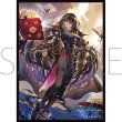 画像1:  【予約商品】  きゃらスリーブコレクション　マットシリーズ　Shadowverse: Worlds Beyond　 「崇高の憎悪・カンディマ」(No.MT2413)（65枚入り） 【26年7月10日発売】 (1)