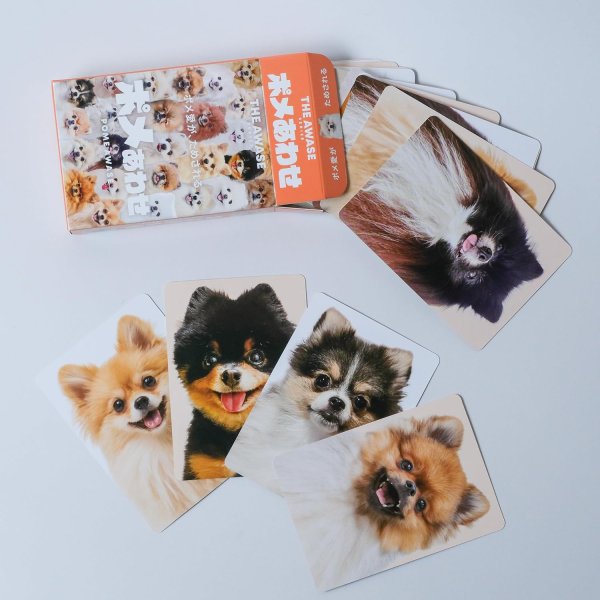 画像2:  【予約商品】  ポメあわせ 【26年5月29日発売】 (2)