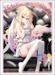 画像1:  【予約商品】  ブシロード スリーブコレクション ハイグレード Vol.5195　GA文庫 『ひきこまり吸血姫の悶々』（75枚入り） 【26年7月17日発売】 (1)