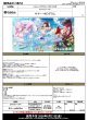 画像2:  【予約商品】  hololive OFFICIAL CARD GAME エクストラブースター　サマー・ホログラム BOX（8パック入り）    【26年8月21日発売】 (2)