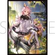 画像1:  【予約商品】  きゃらスリーブコレクション マットシリーズ　Shadowverse: Worlds Beyond　「特記標的・ヘイレムハニィ」(No.MT2449)（65枚入り） 【26年8月14日発売】 (1)