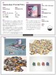 画像2:  【予約商品】  Astro Out アストロアウト 【26年6月18日発売】 (2)