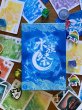 画像1:  【予約商品】  アクアリウム・フェスティバル（原題・水族祭） 【26年7月18日発売】 (1)