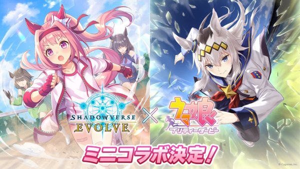 画像4:  【予約商品】  Shadowverse EVOLVE「Over the Calamity/オーバー・ザ・カラミティ」ブースターパックBOX（12パック入り）    【26年10月2日発売】 (4)