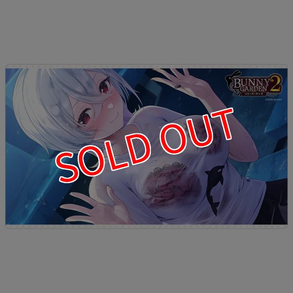画像1:  【予約商品】  カーテン魂　バニーガーデン2 ラバーマット（瑠那） 【26年10月上旬発売】 (1)