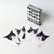 画像2:  【予約商品】  ハチワレあわせ 【26年7月8日発売】 (2)