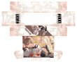 画像2:  【予約商品】  ブシロード ストレイジボックスコレクション V2 Vol.421　勝利の女神：NIKKE「NEW FLAVOR」 【26年9月18日発売】 (2)