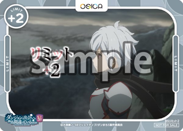 画像1: 【OSC-DNMC3】リミットカード (1)