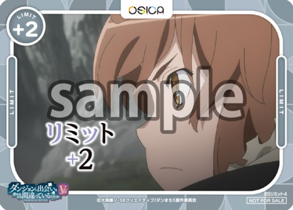 画像1: 【OSC-DNMC3】リミットカード (1)