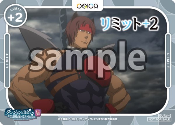 画像1: 【OSC-DNMC3】リミットカード (1)