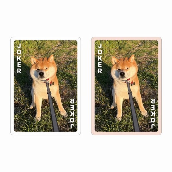 画像3:  【予約商品】  柴あわせ　あか 【26年8月9日発売】 (3)