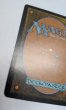 画像3:  ※傷あり SALE品※ 【PLC】《再拘束/Retether》【R】(#5025) (3)