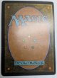 画像2:  ※傷あり SALE品※ 【PLC】《再拘束/Retether》【R】(#5025) (2)