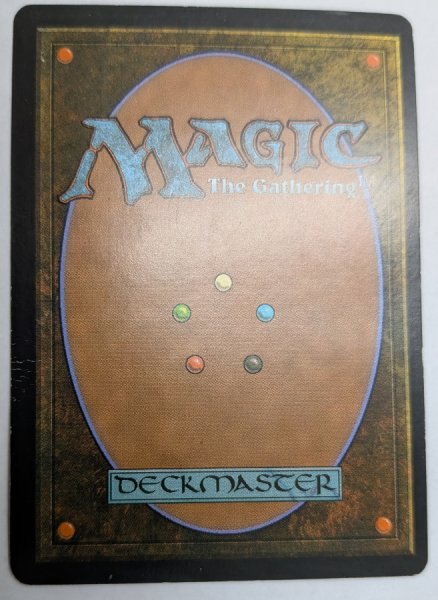 画像2:  ※傷あり SALE品※ 【PLC】《再拘束/Retether》【R】(#5025) (2)
