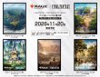 画像2:  【予約商品】  『マジック：ザ・ギャザリング――FINAL FANTASY』 プレイヤーズカードスリーブ MFS-78 チョコボ・バンドル 《山》（80枚入り） 【26年11月20日発売】    (2)