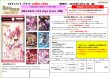 画像2:  【再販予約商品】  ビルディバイド -ブライト- ブースターパック 『魔法少女まどか☆マギカ Magia Exedra』 BOX（16パック入り） 【26年12月11日再販】 (2)
