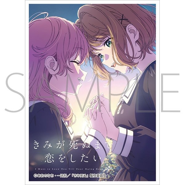 画像1:  【予約商品】  きゃらスリーブコレクション マットシリーズ   「きみが死ぬまで恋をしたい」 ミミ＆シーナＡ(No.MT2494)(65枚入り） 【26年11月27日発売】 (1)