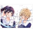 画像1:  【予約商品】  きゃらスリーブコレクション マットシリーズ  「きみが死ぬまで恋をしたい」 セイラン＆アリ(No.MT2496)(65枚入り） 【26年11月27日発売】 (1)