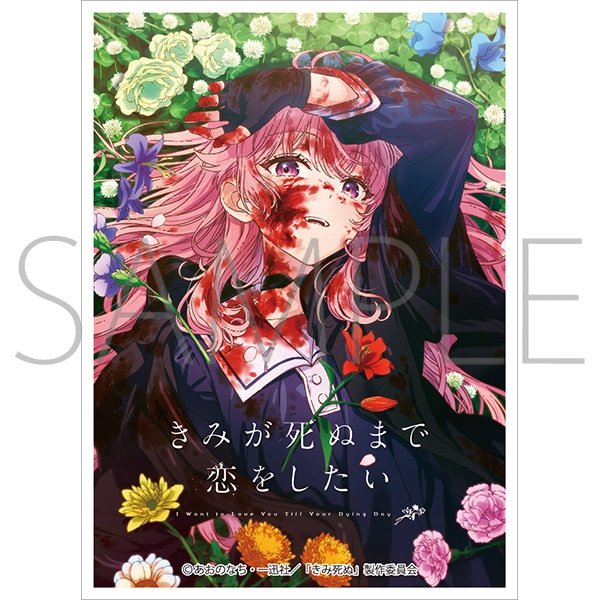 画像1:  【予約商品】  きゃらスリーブコレクション マットシリーズ   「きみが死ぬまで恋をしたい」 カガリ・ミミ(No.MT2493)(65枚入り） 【26年11月27日発売】 (1)