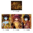 画像2:  【予約商品】  カーテン魂　[エルフェンリート]デッキケース（オープニング） 【27年1月下旬発売】 (2)
