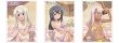 画像2:  【予約商品】  カーテン魂　[劇場版「Fate/kaleid liner プリズマ☆イリヤ Licht 名前の無い少女」]描き下ろしスリーブ（イリヤ／日焼け）（65枚入り） 【27年1月下旬発売】    (2)