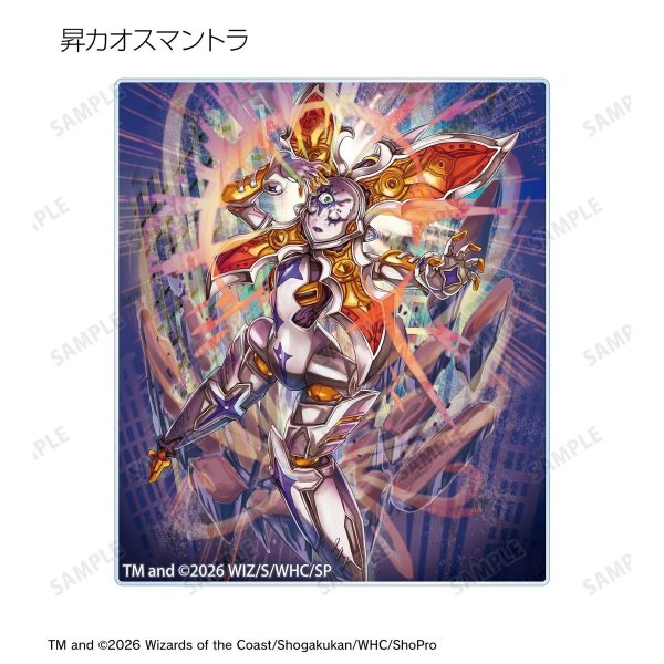 画像8:  【予約商品】  アルマビアンカ　デュエル・マスターズ　トレーディングアクリルカード ver.B BOX（14パック入り） 【27年1月下旬発売】 (8)