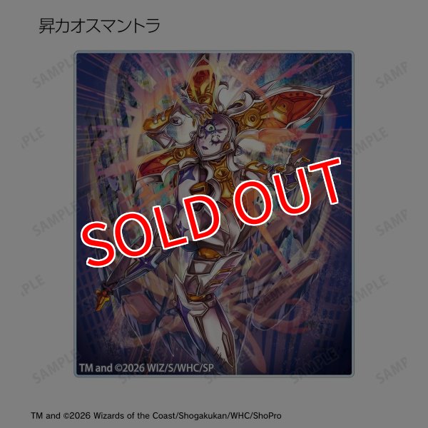画像8:  【予約商品】  アルマビアンカ　デュエル・マスターズ　トレーディングアクリルカード ver.B BOX（14パック入り） 【27年1月下旬発売】 (8)