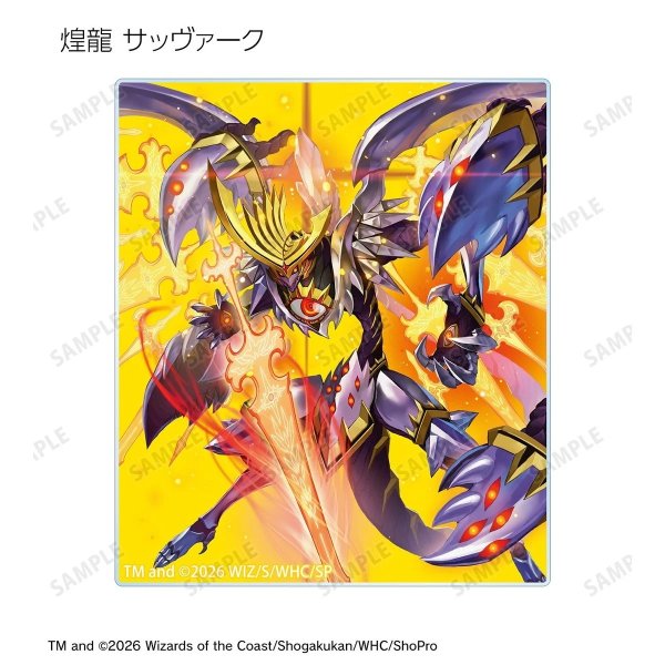 画像11:  【予約商品】  アルマビアンカ　デュエル・マスターズ　トレーディングアクリルカード ver.B BOX（14パック入り） 【27年1月下旬発売】 (11)