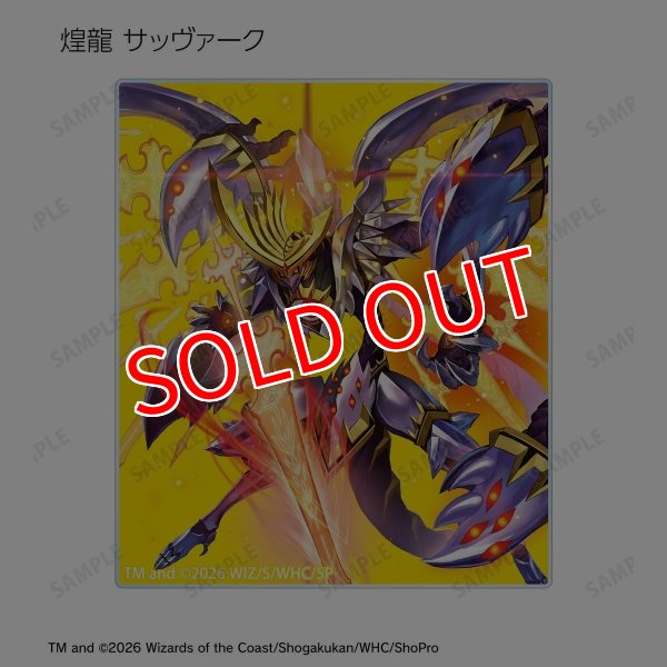 画像11:  【予約商品】  アルマビアンカ　デュエル・マスターズ　トレーディングアクリルカード ver.B BOX（14パック入り） 【27年1月下旬発売】 (11)