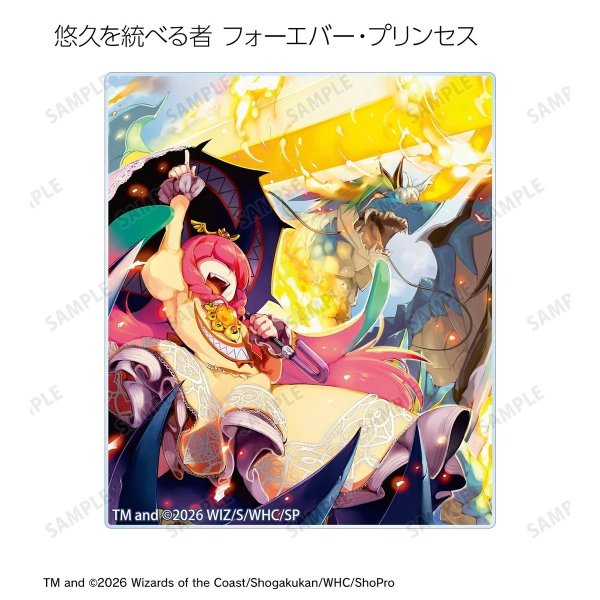 画像14:  【予約商品】  アルマビアンカ　デュエル・マスターズ　トレーディングアクリルカード ver.A BOX（14パック入り） 【27年1月下旬発売】 (14)