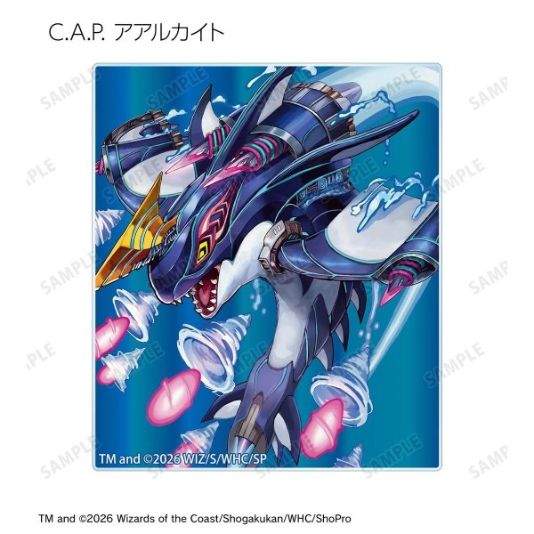 画像13:  【予約商品】  アルマビアンカ　デュエル・マスターズ　トレーディングアクリルカード ver.B BOX（14パック入り） 【27年1月下旬発売】 (13)