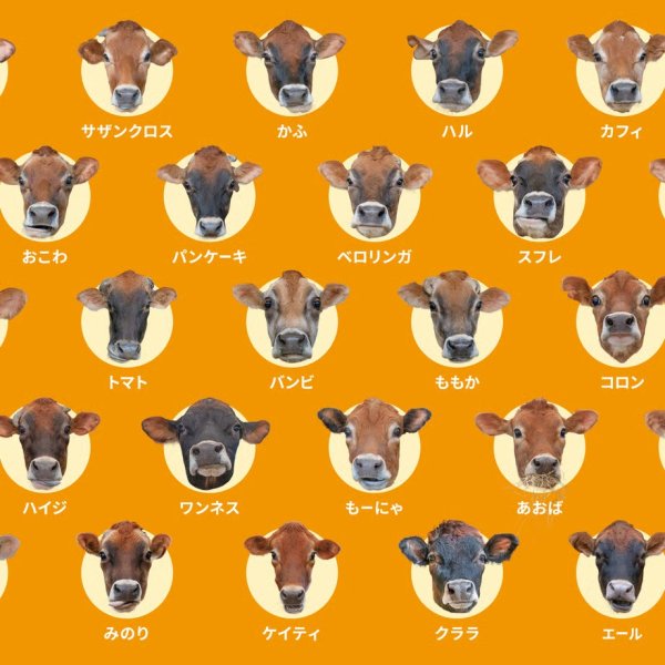 画像2:  【予約商品】  うしあわせ ジャージー 【26年10月16日発売】 (2)
