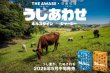 画像3:  【予約商品】  うしあわせ ジャージー 【26年10月16日発売】 (3)