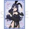 画像1:  【予約商品】  きゃらスリーブコレクション マットシリーズ   TVアニメ「その着せ替え人形は恋をする」Season 2　海夢（ありさ）(No.MT2419)(65枚入り） 【26年12月18日発売】 (1)