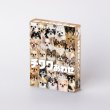 画像1:  【予約商品】  チワワあわせ 【26年10月30日発売】 (1)