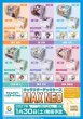 画像5:  【予約商品】  キャラクターデッキケースMAX NEO　ライムライト・レモネードジャム「礫川 美玖」 【27年1月30日発売】    (5)