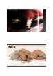 画像3:  【予約商品】  カーテン魂　[無職転生III 〜異世界行ったら本気だす〜]ラバーマット（エリス／ティザービジュアル） 【27年2月上旬発売】 (3)