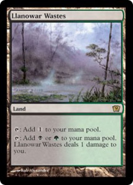 画像1: 【9ED】《ラノワールの荒原/Llanowar Wastes》【R】 (1)