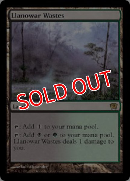 画像1: 【9ED】《ラノワールの荒原/Llanowar Wastes》【R】 (1)
