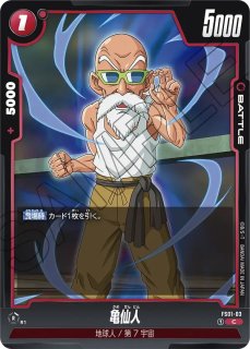DB-FB02】亀仙人【R】 - PROJECT CORE 1号店