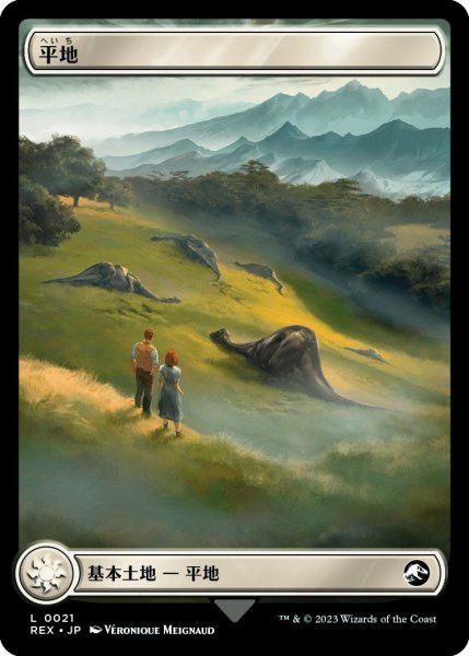 画像2: 【LCI/REX】《平地/Plains》【L】 (2)