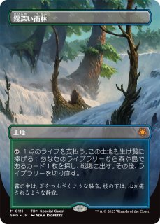 MH2】※FOIL※《霧深い雨林/Misty Rainforest》【R】 - PROJECT CORE 1号店