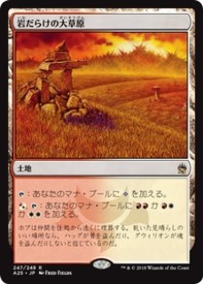 MSH/MSC】《サングラスの大草原/Sungrass Prairie》【R】 - PROJECT