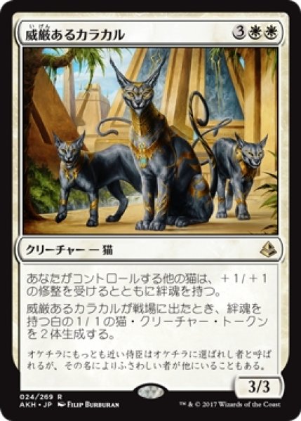 画像1: 【AKH】《威厳あるカラカル/Regal Caracal》【R】 (1)