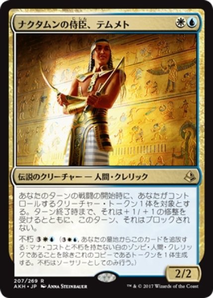 画像1: 【AKH】《ナクタムンの侍臣、テムメト/Temmet, Vizier of Naktamun》【R】 (1)