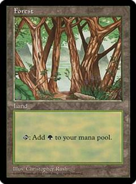 画像1: 【MTG/PR】《森/Forest》 APAC2 Illus.Christopher Rush (1)